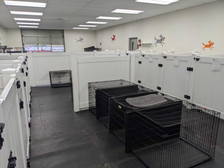 Our Facilities Scampers